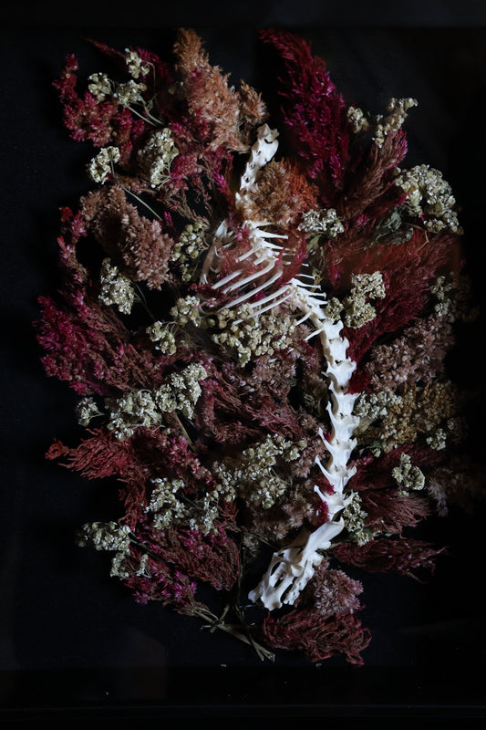 A Glade in the City of Death - Rabbit Spinal Column