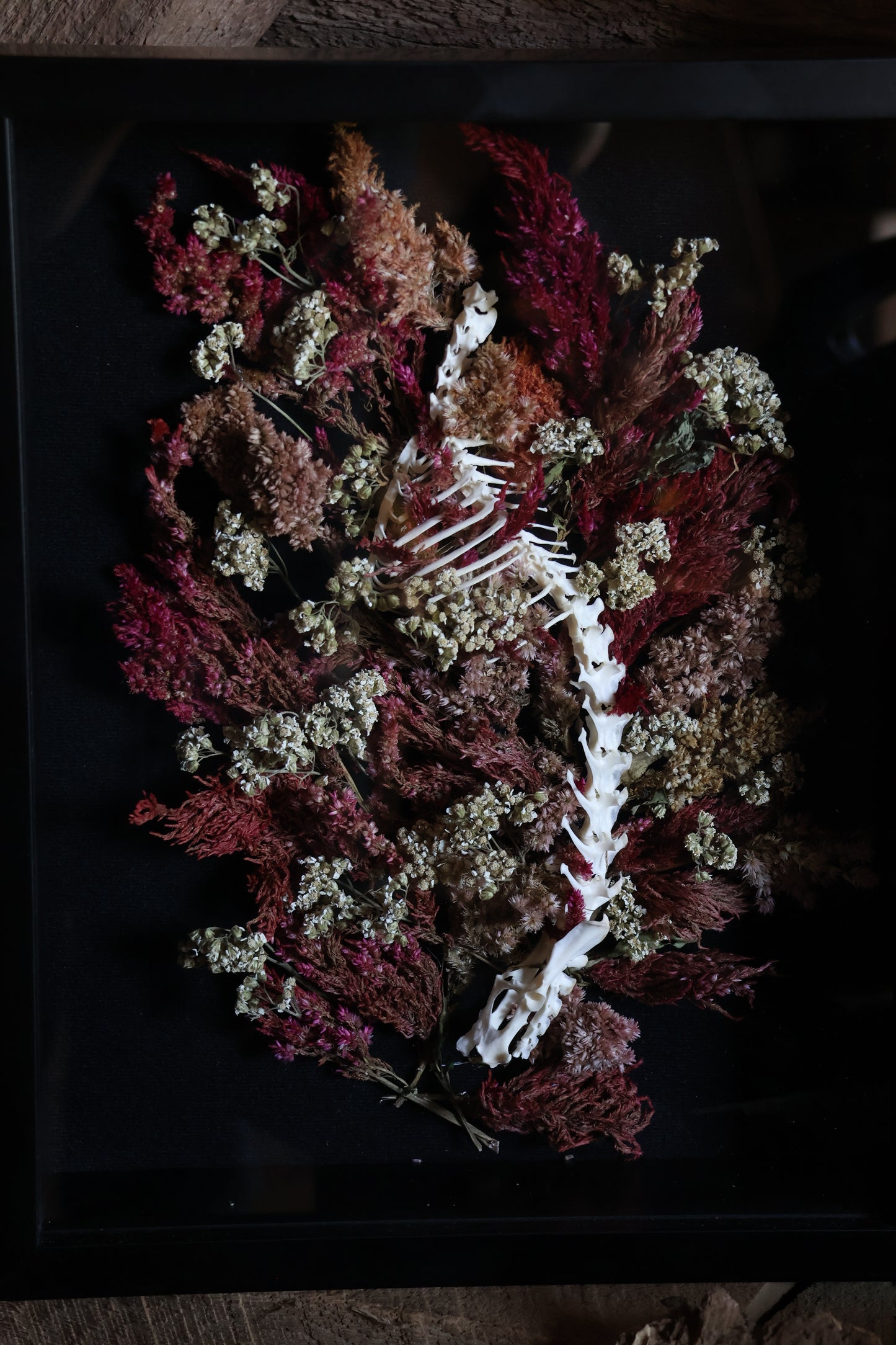 A Glade in the City of Death - Rabbit Spinal Column