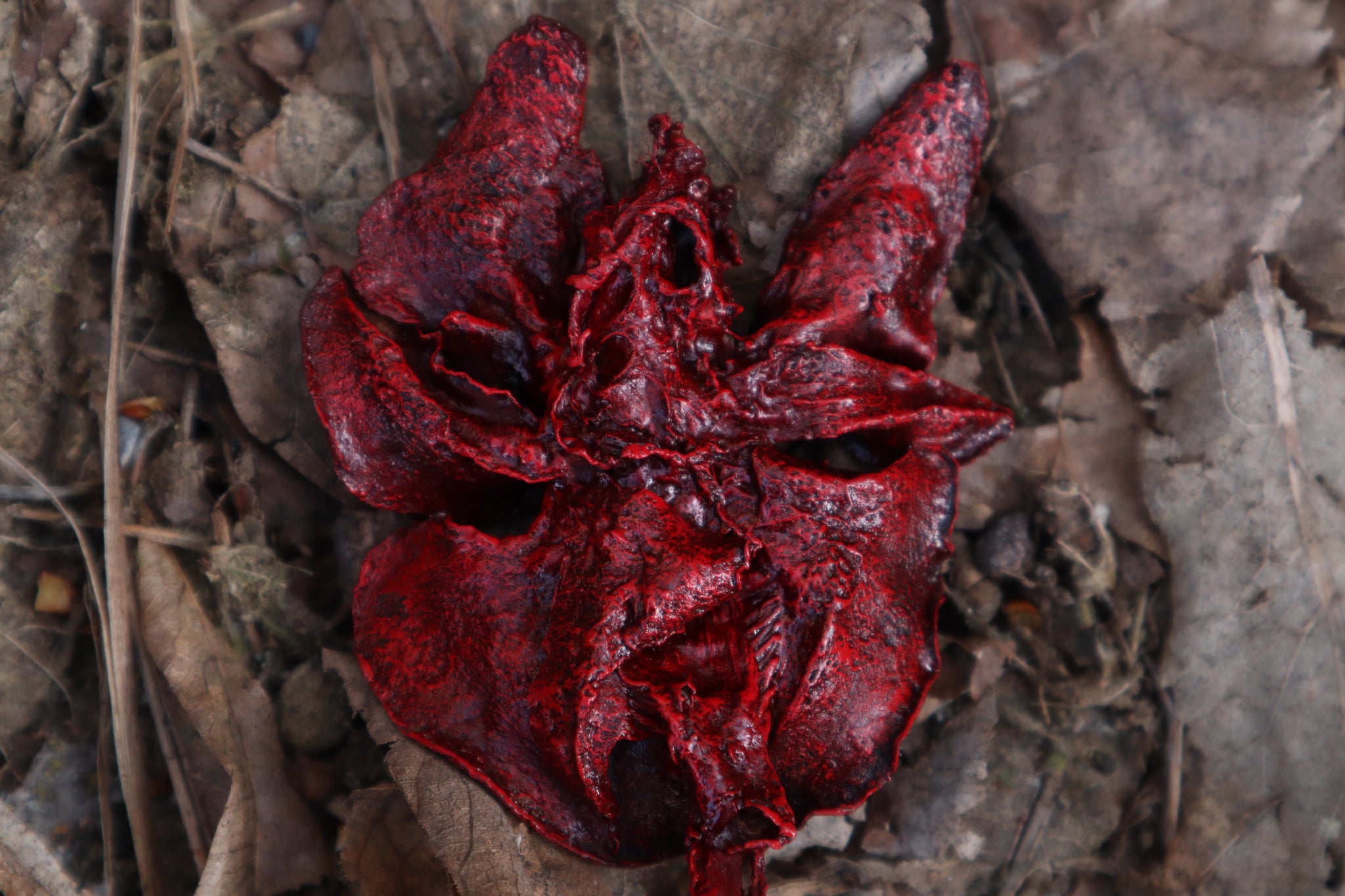 Dry Preserved Black Cat Lungs