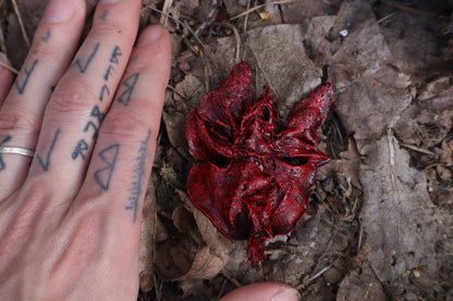 Dry Preserved Black Cat Lungs