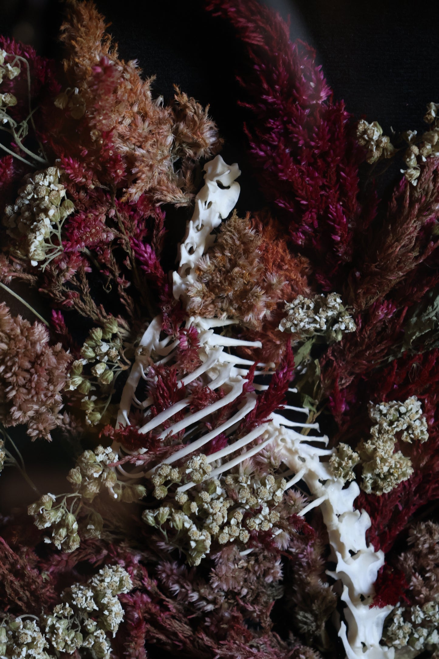 A Glade in the City of Death - Rabbit Spinal Column