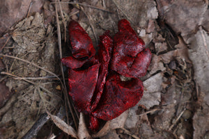 Dry Preserved Black Cat Lungs