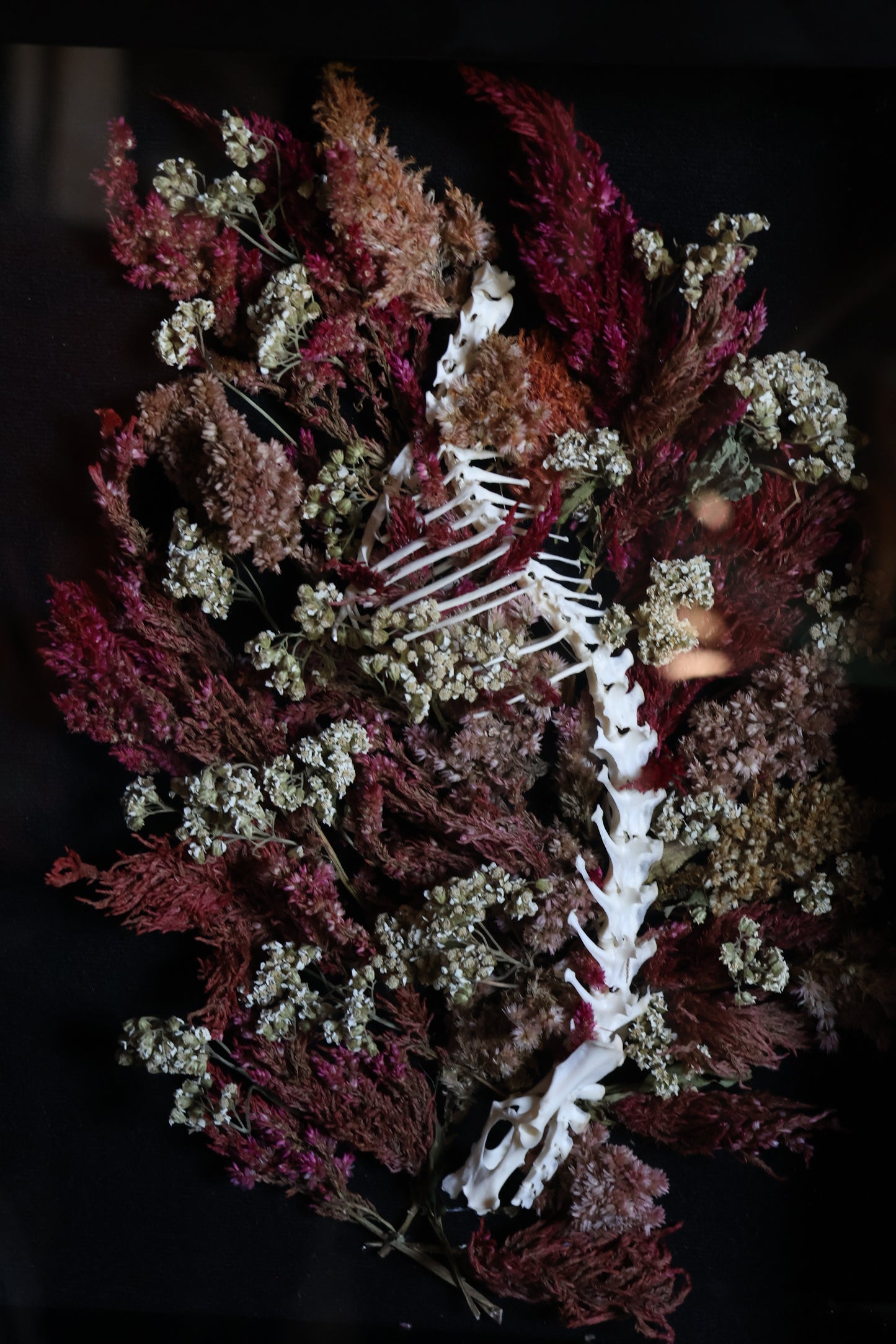 A Glade in the City of Death - Rabbit Spinal Column