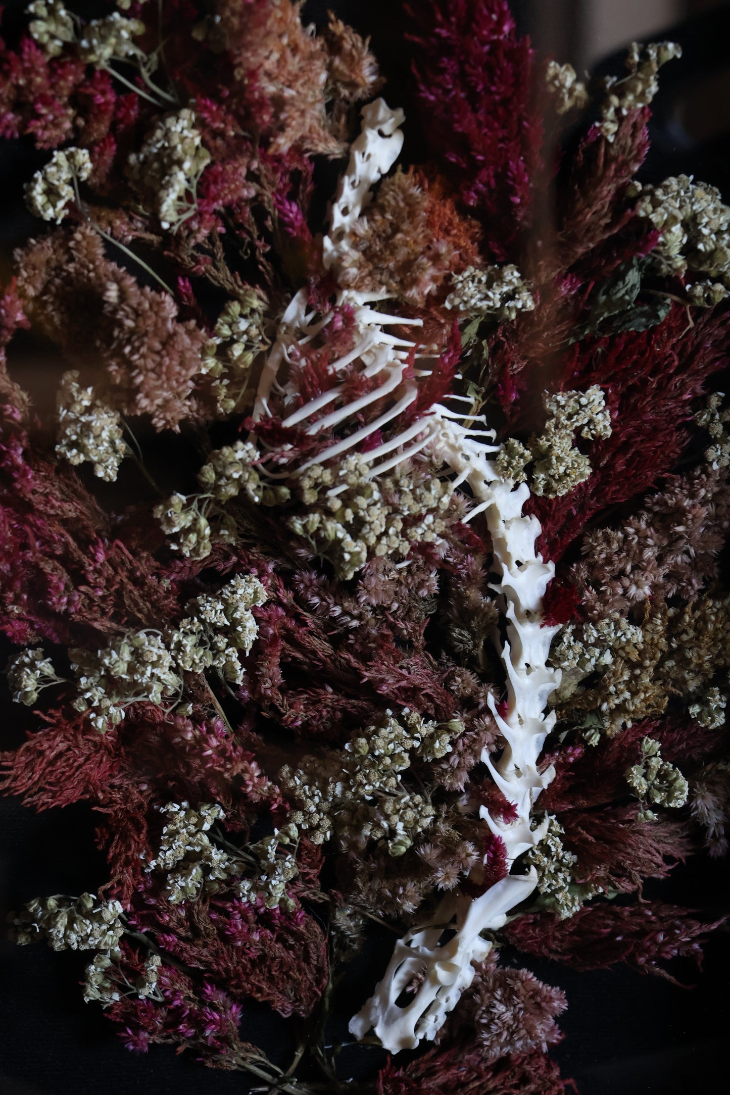 A Glade in the City of Death - Rabbit Spinal Column