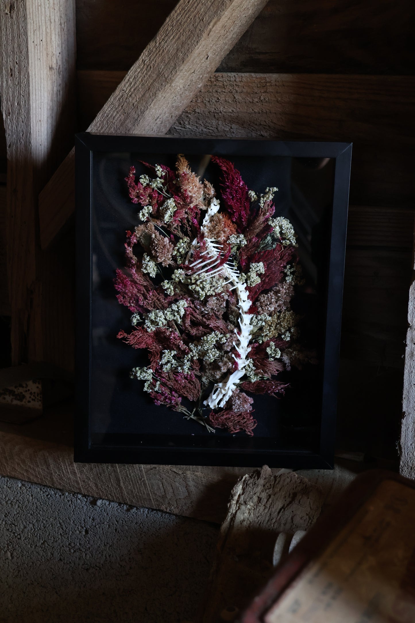 A Glade in the City of Death - Rabbit Spinal Column