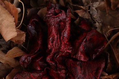 Dry Preserved Wolf Lungs