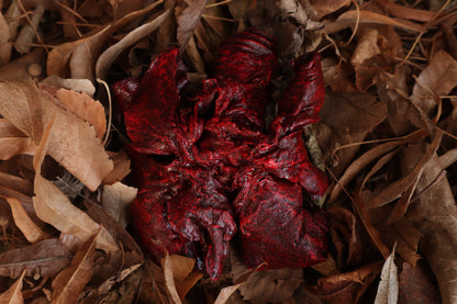 Dry Preserved Wolf Lungs