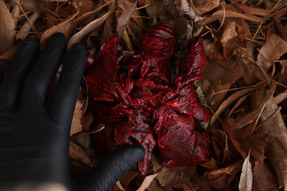 Dry Preserved Wolf Lungs