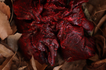 Dry Preserved Wolf Lungs