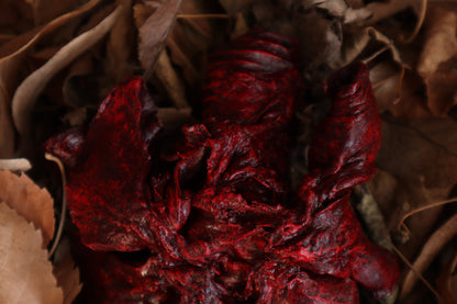 Dry Preserved Wolf Lungs