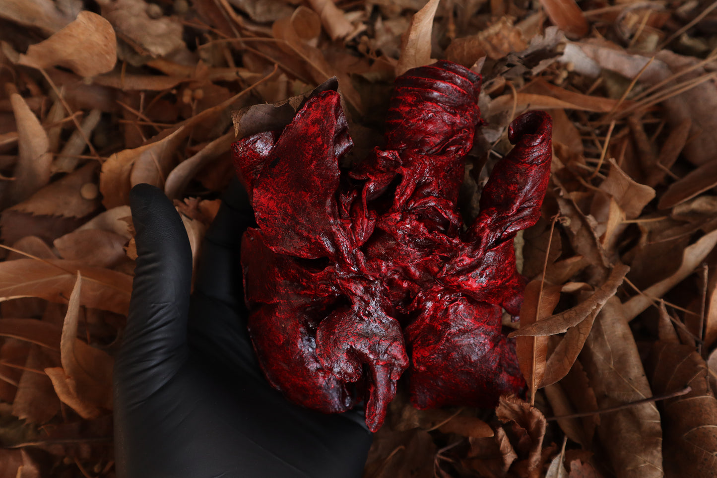 Dry Preserved Wolf Lungs