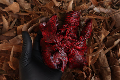 Dry Preserved Wolf Lungs