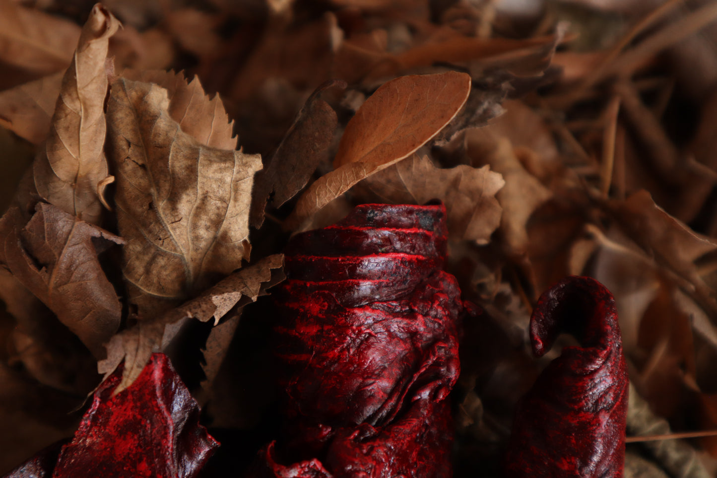 Dry Preserved Wolf Lungs