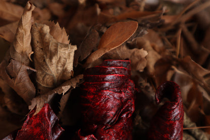 Dry Preserved Wolf Lungs