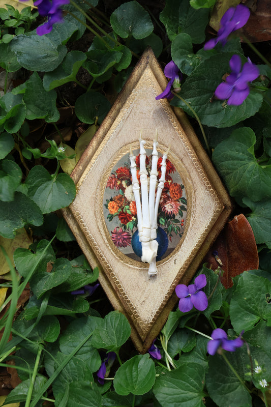 Kitten Paw Articulation