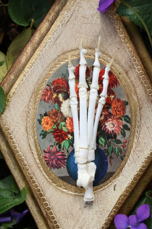 Kitten Paw Articulation