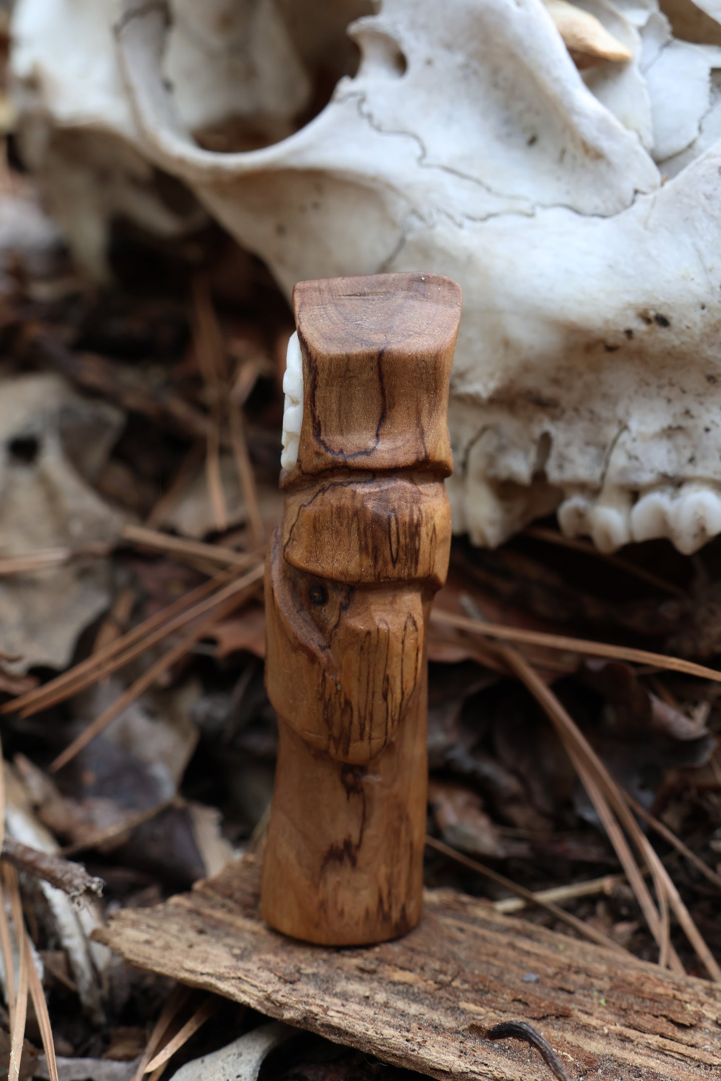 Black Walnut and Goat Skull Chaos Monk