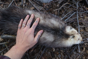 Reserved for Zia - Opossum Wall Hanger