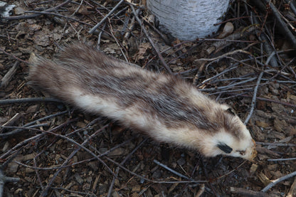Opossum Wall Hanger