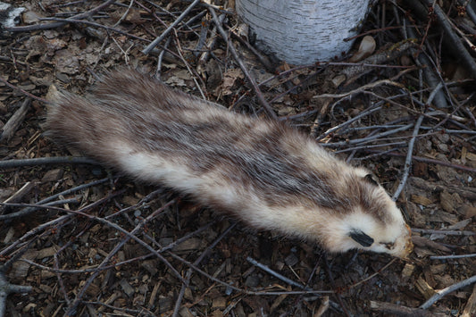 Opossum Wall Hanger