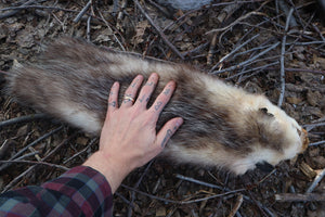 Opossum Wall Hanger