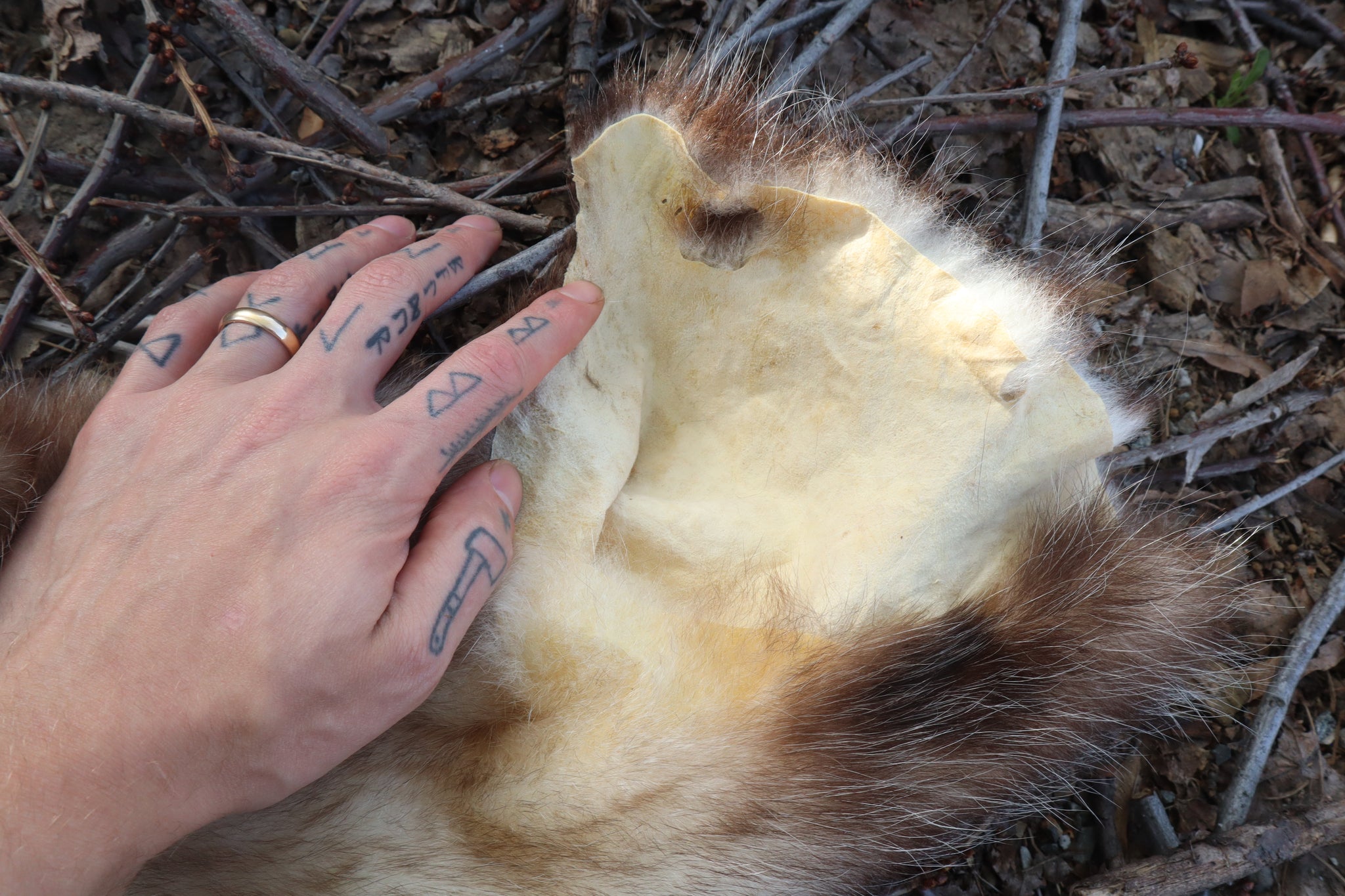 Opossum Wall Hanger