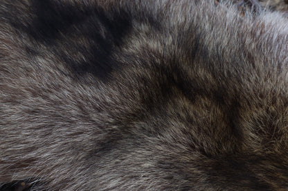 Raccoon Pelt