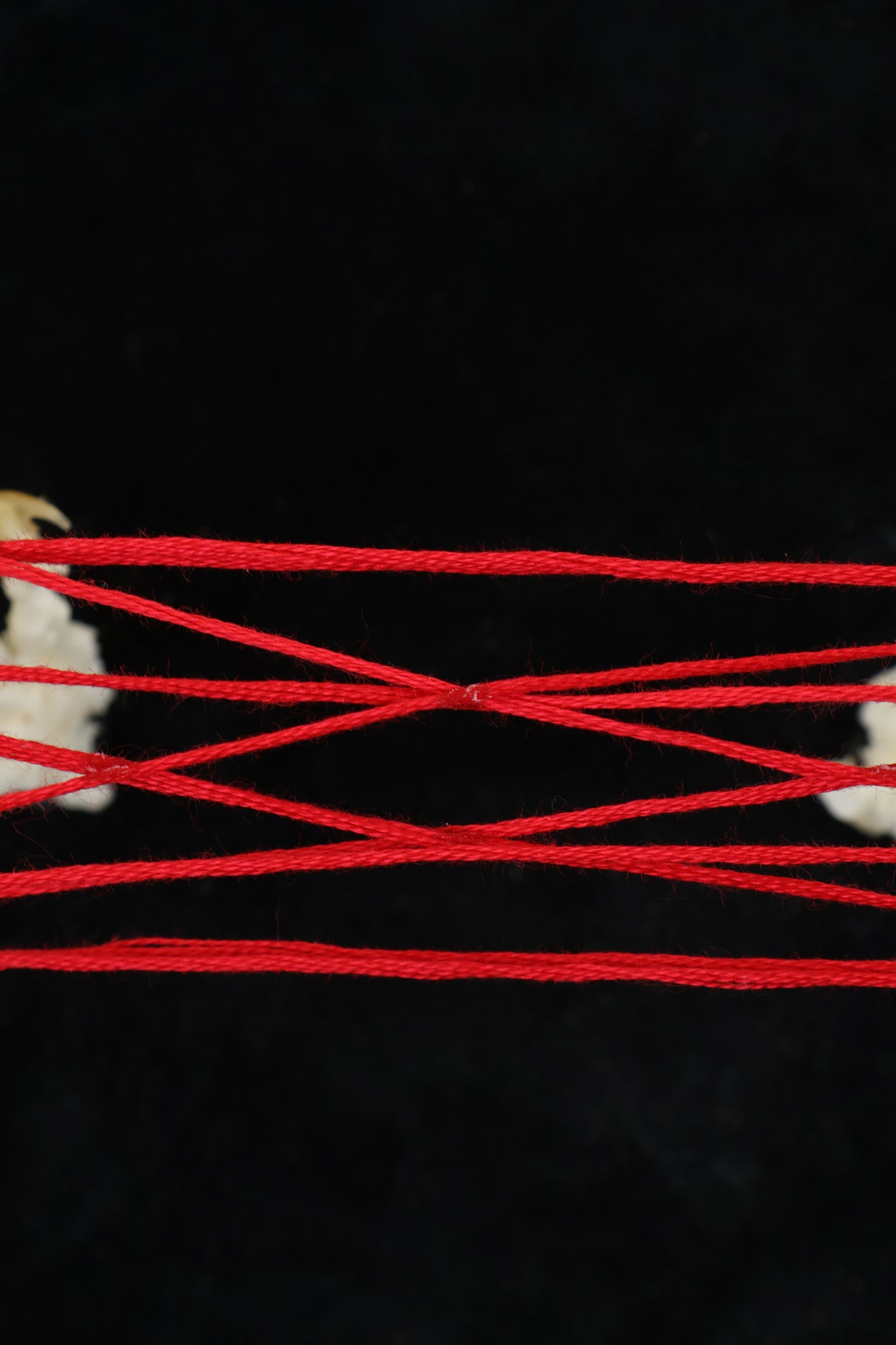 Kitten's Cradle
