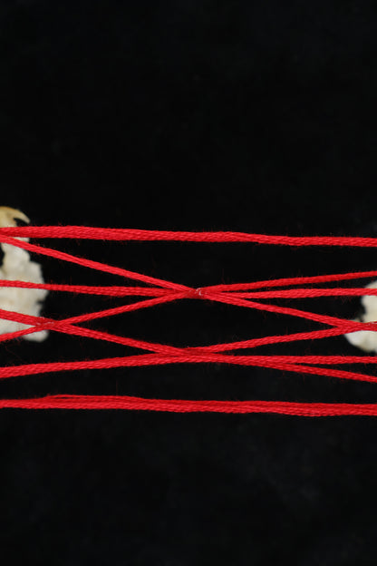 Kitten's Cradle