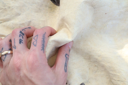 Raccoon Pelt