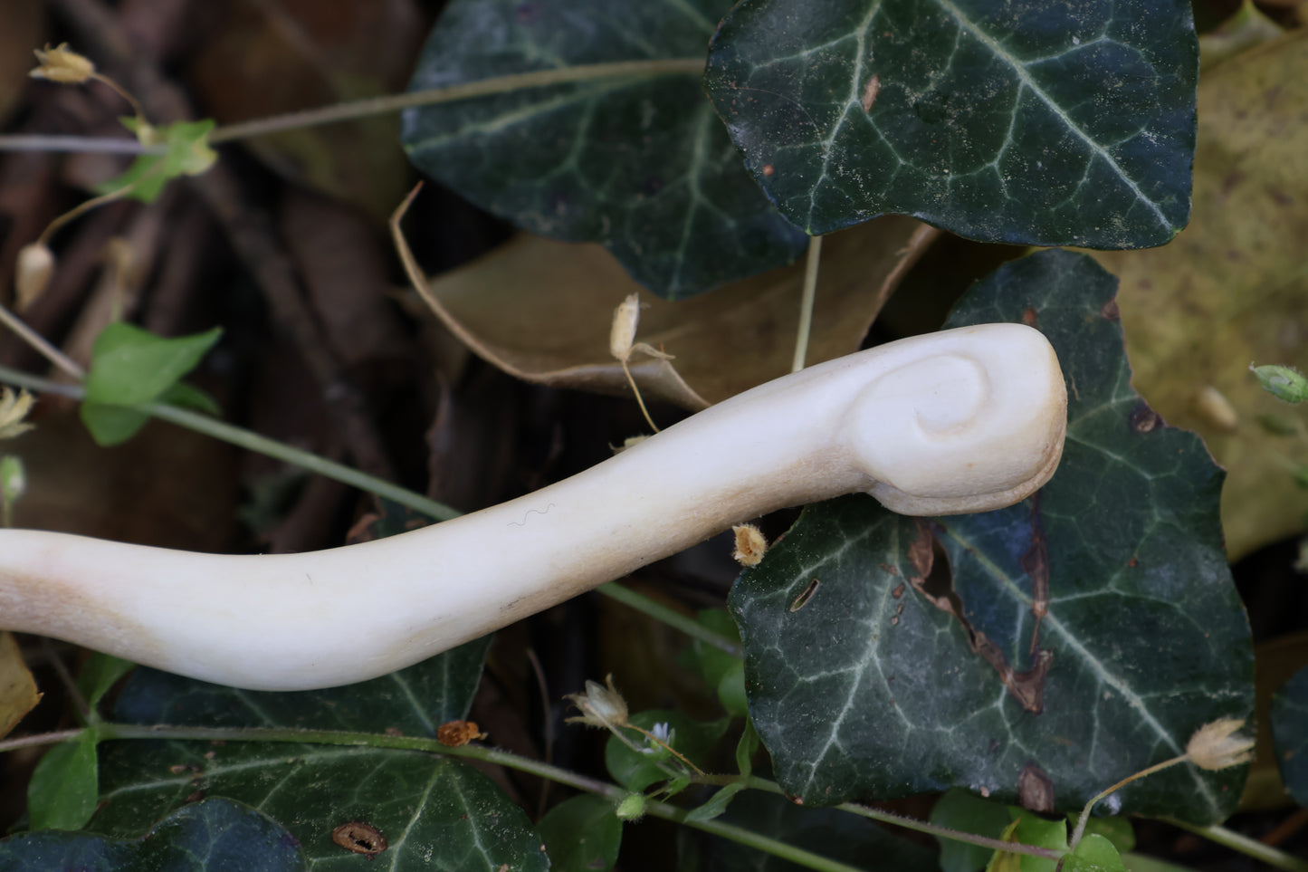 Reserved for Hannah - Antler Poker Tool