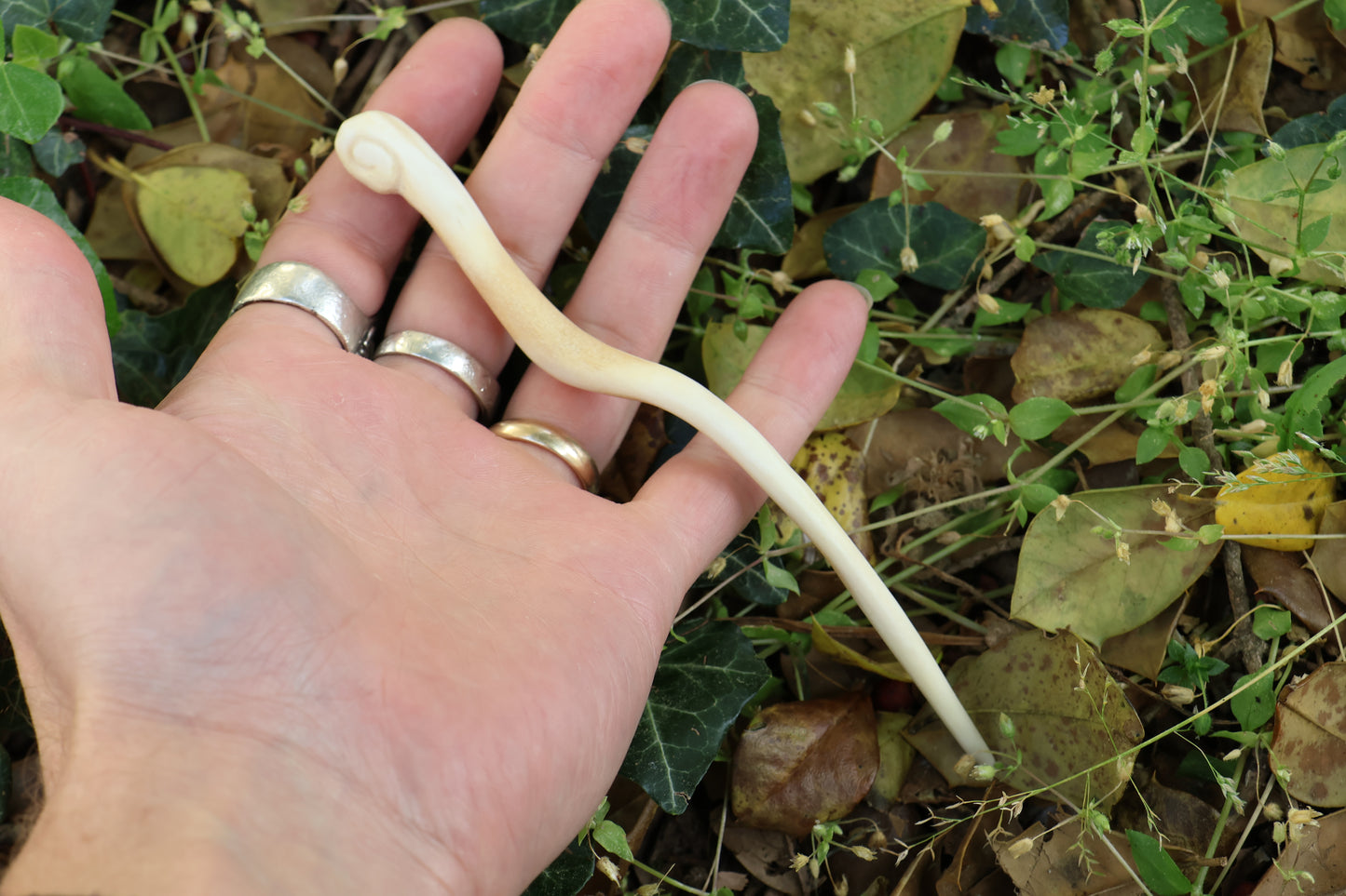 Reserved for Hannah - Antler Poker Tool