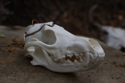 Copper Coyote Skull Offering Bowl