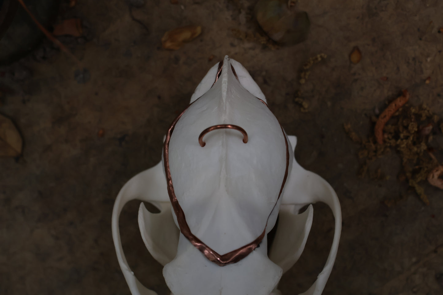 Copper Coyote Skull Offering Bowl
