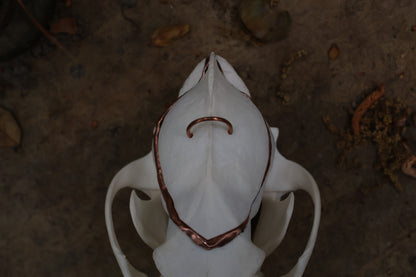 Copper Coyote Skull Offering Bowl