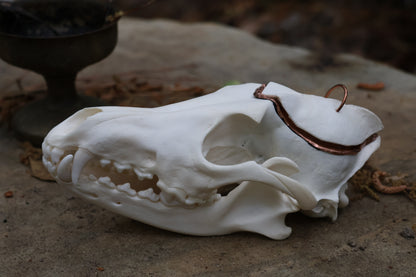 Copper Coyote Skull Offering Bowl