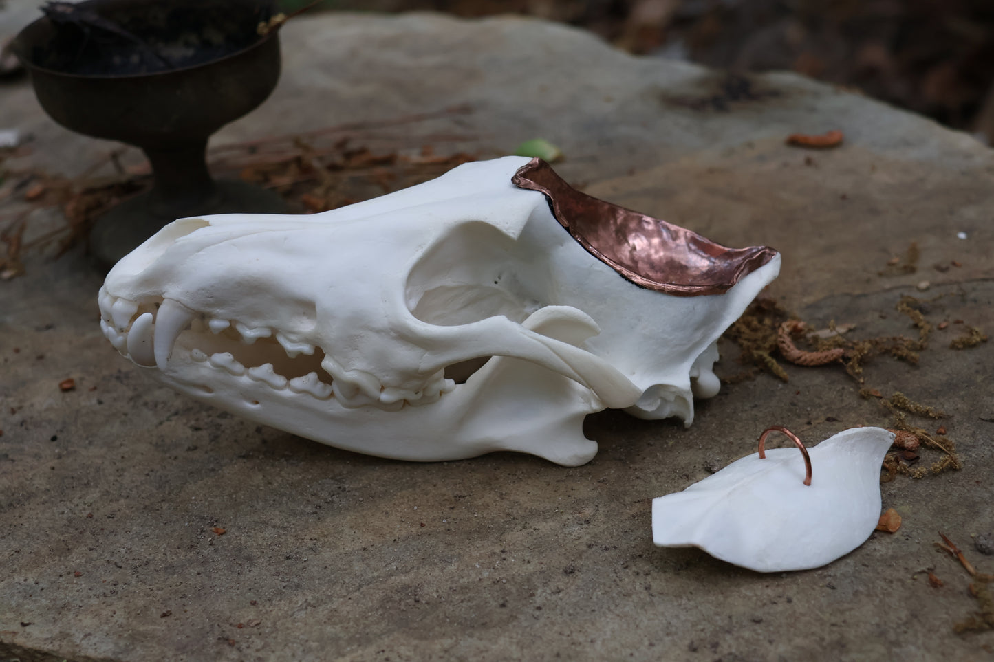 Copper Coyote Skull Offering Bowl
