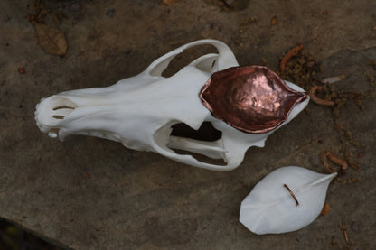 Copper Coyote Skull Offering Bowl