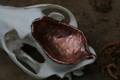 Copper Coyote Skull Offering Bowl