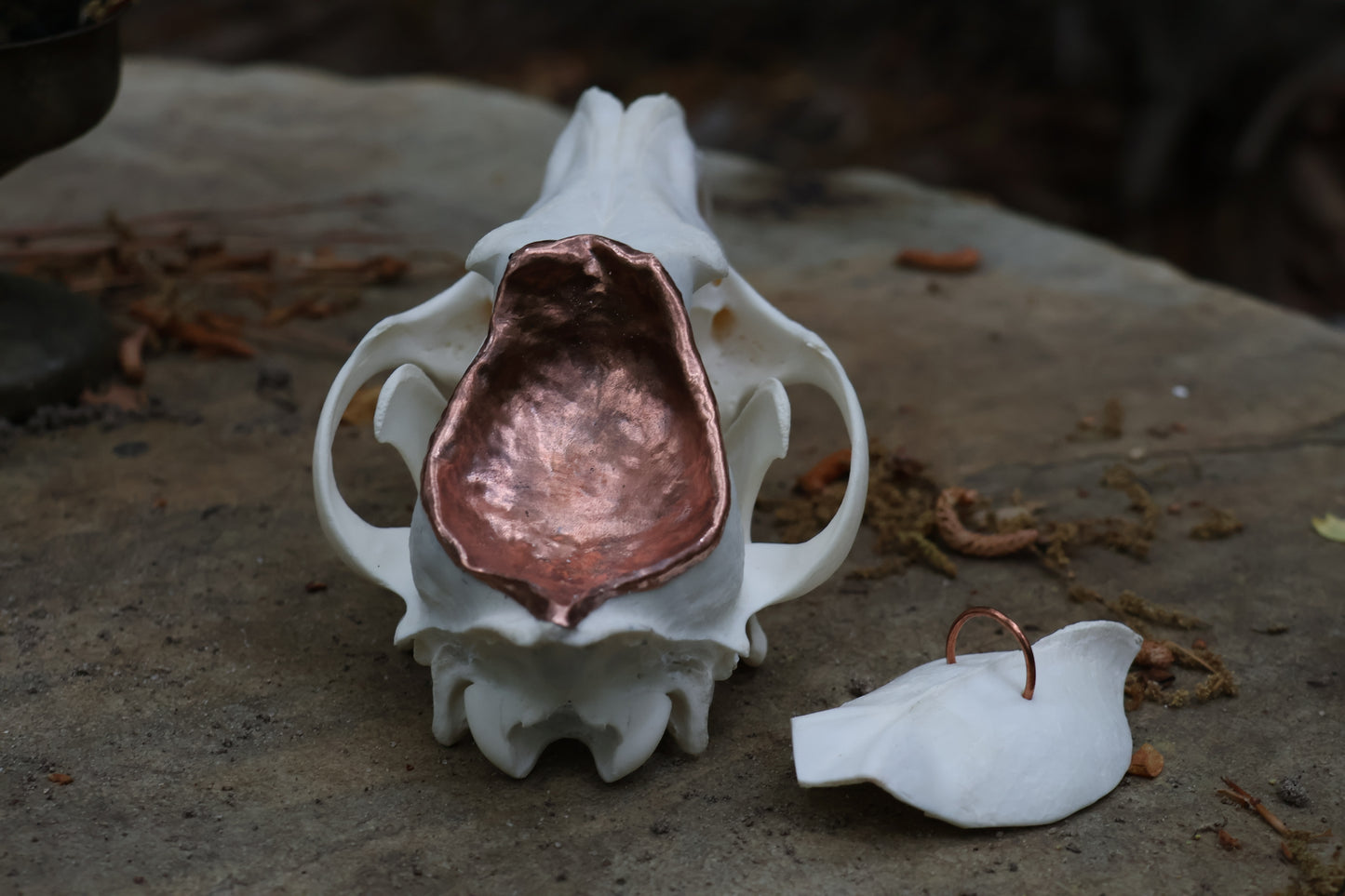 Copper Coyote Skull Offering Bowl