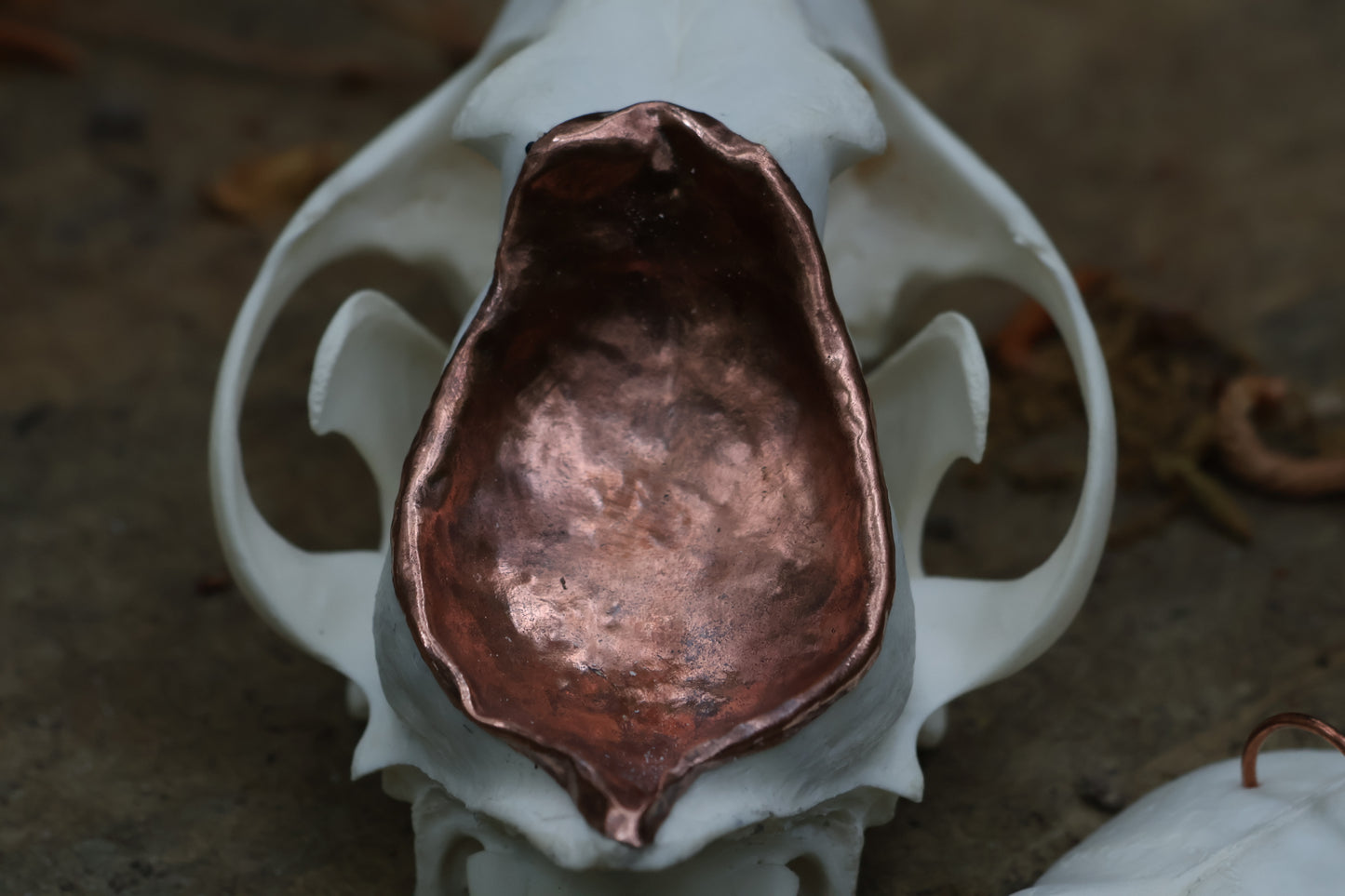 Copper Coyote Skull Offering Bowl
