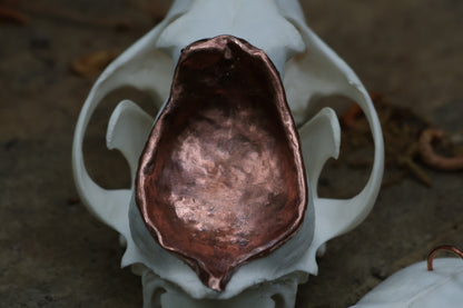 Copper Coyote Skull Offering Bowl