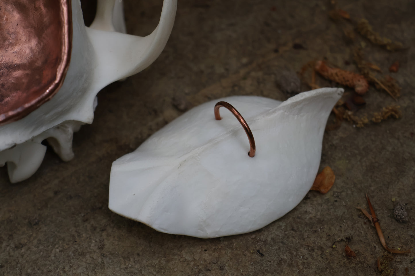 Copper Coyote Skull Offering Bowl