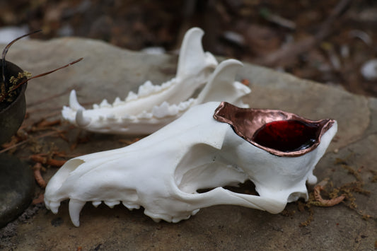 Copper Coyote Skull Offering Bowl