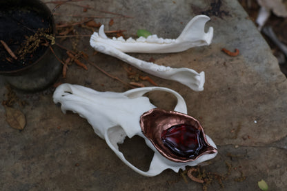 Copper Coyote Skull Offering Bowl