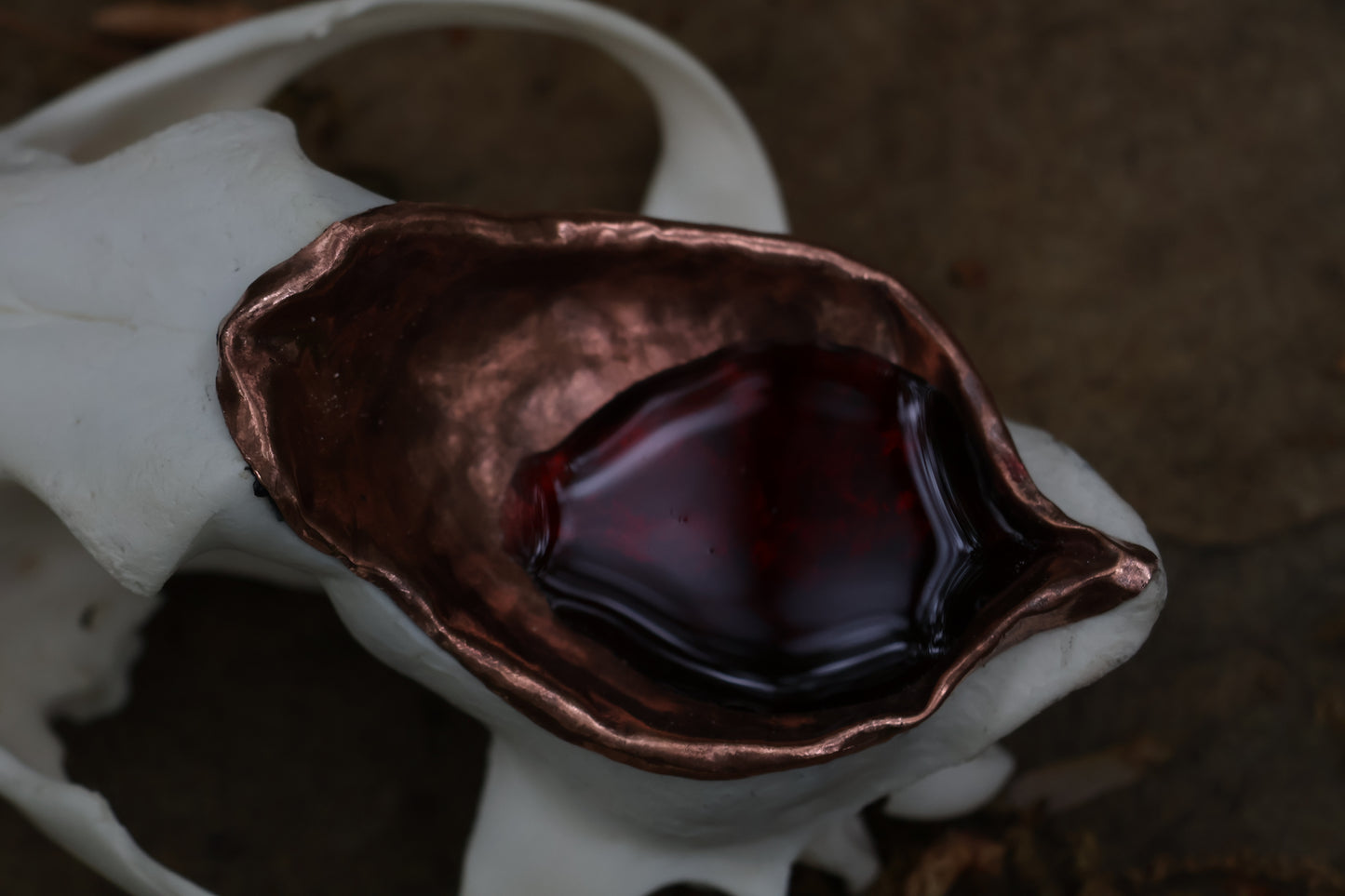 Copper Coyote Skull Offering Bowl