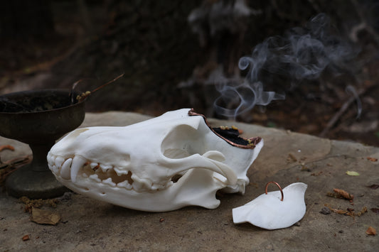 Copper Coyote Skull Offering Bowl