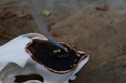 Copper Coyote Skull Offering Bowl