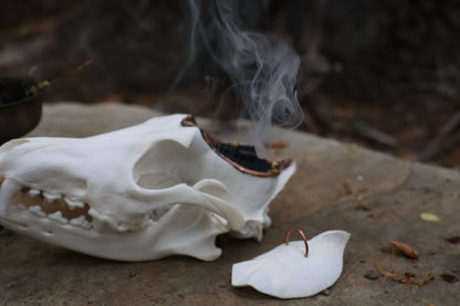 Copper Coyote Skull Offering Bowl