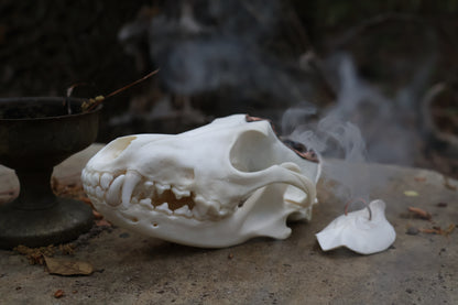 Copper Coyote Skull Offering Bowl